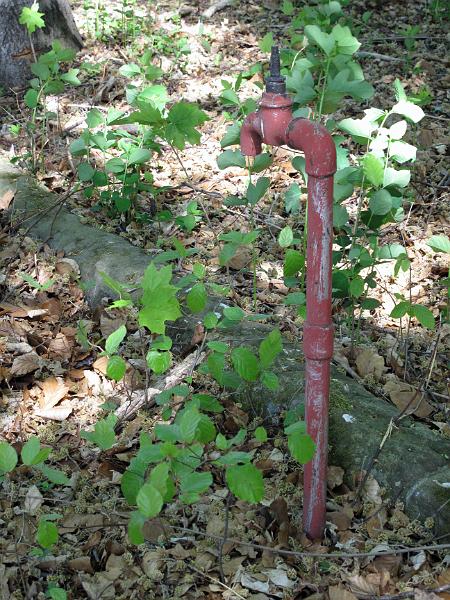 Lahmann (113).JPG